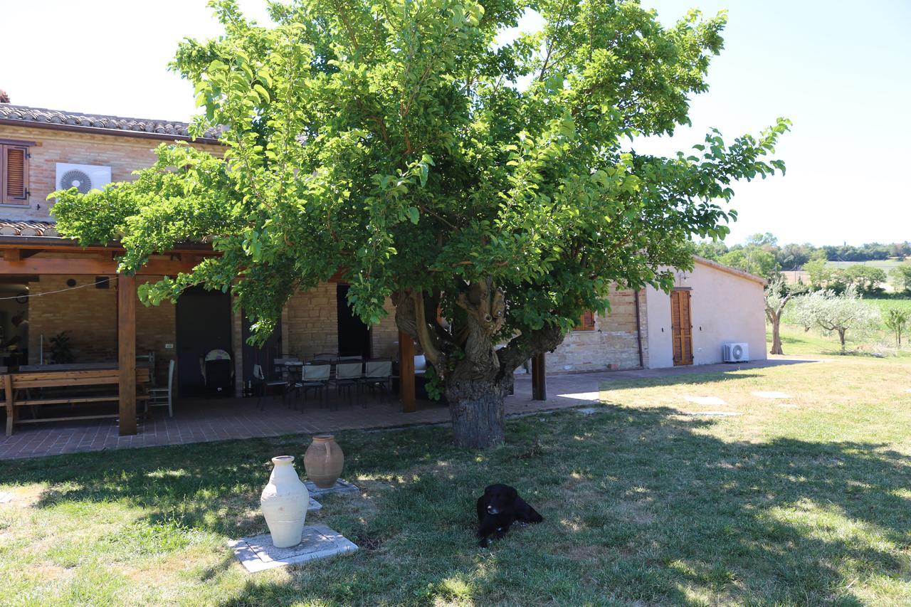 Casale Talevi Villa Cartoceto Luaran gambar